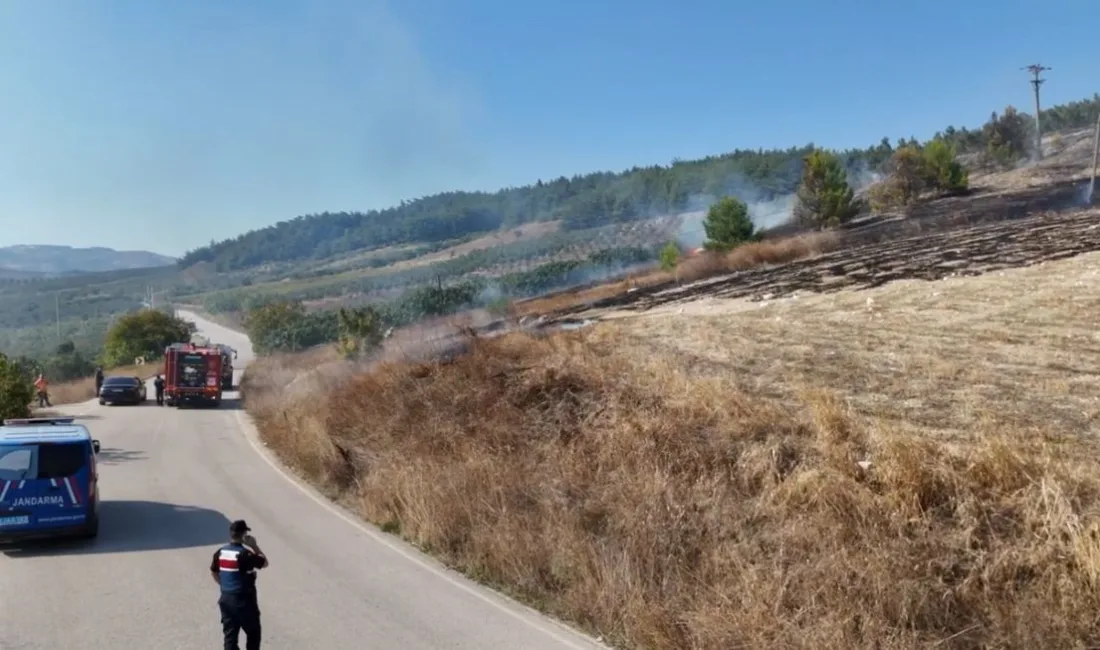 BURSA’NIN MUDANYA İLÇESİNDE OTLUK