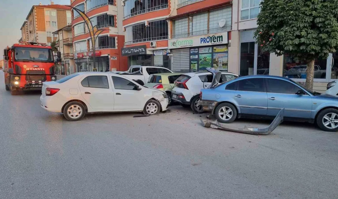 ÇORUM’UN ALACA İLÇESİNDE KONTROLDEN