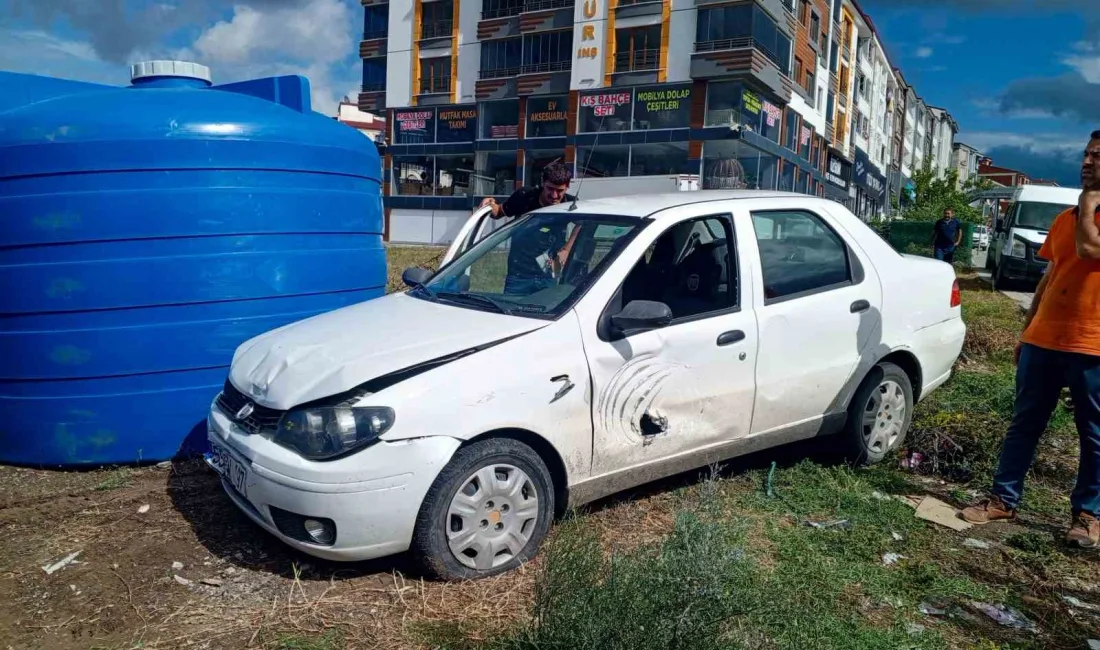 SAMSUN'UN BAFRA İLÇESİNDE DİREKSİYON