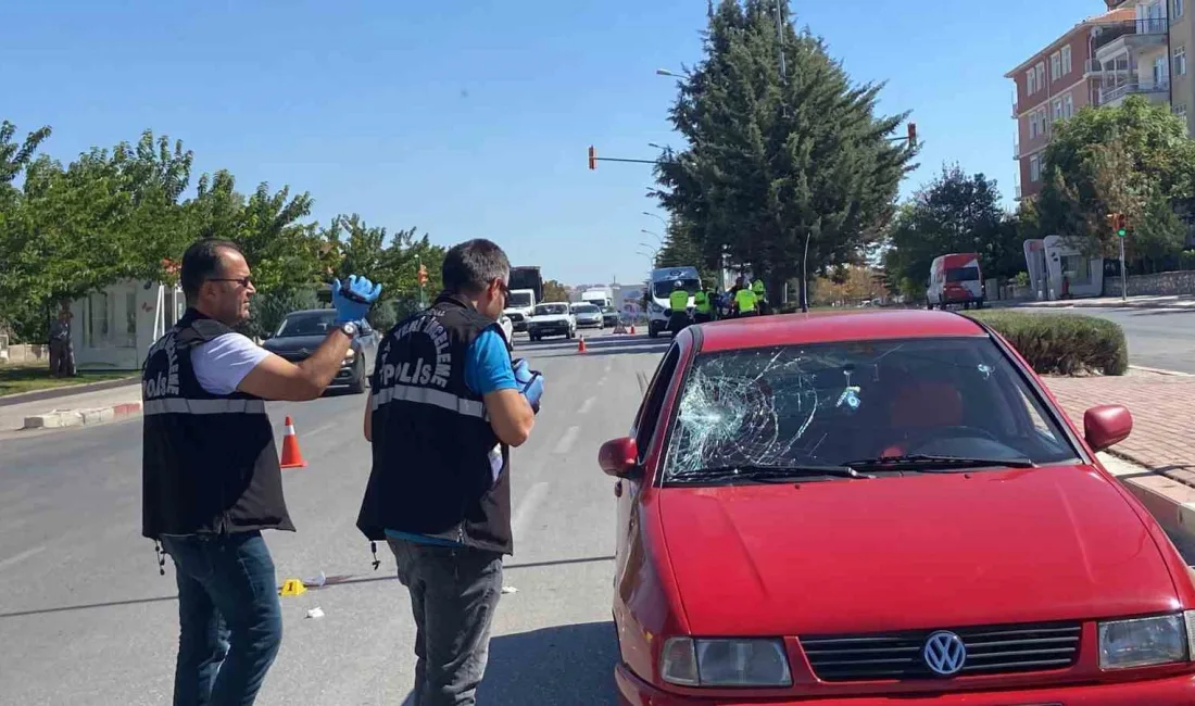 KARAMAN’DA YOLUN KARŞISINA GEÇMEYE