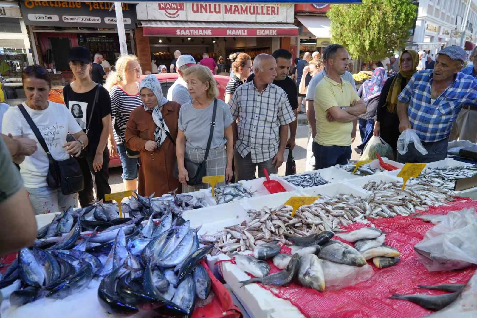 Palamut bolluğu herkesin yüzünü güldürüyor: Kiloluk palamutlar 70 TL