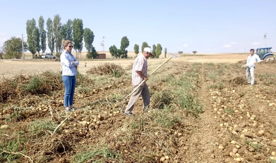 PATATES ÜRETİCİLERİ BİLGİLENDİRİLDİ