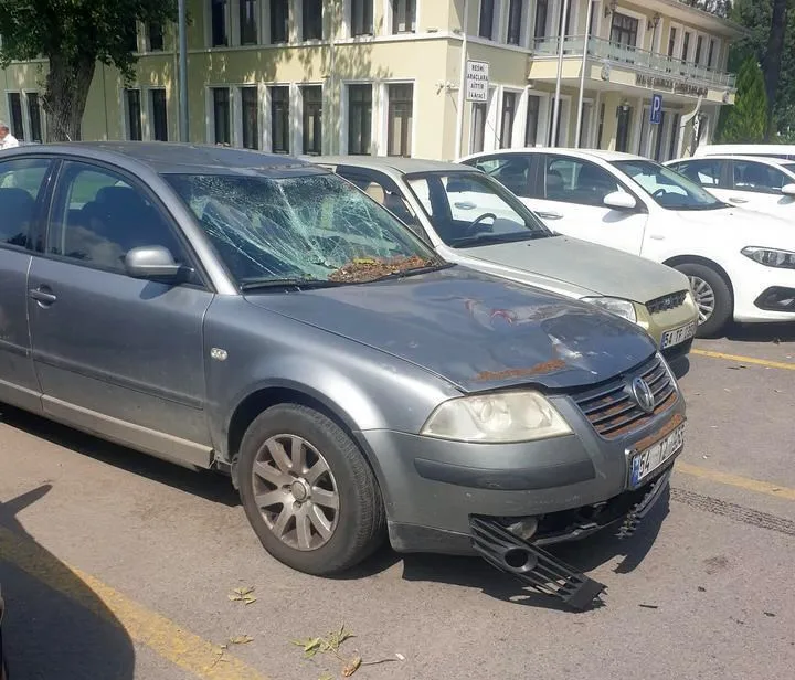 Sakarya’da çürüyen ağaç devrildi, 4 araç hasar gördü