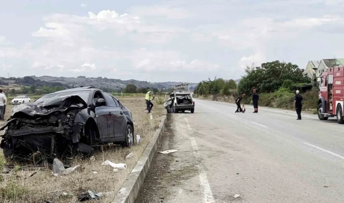 SAKARYA’NIN KAYNARCA İLÇESİNDE İKİ