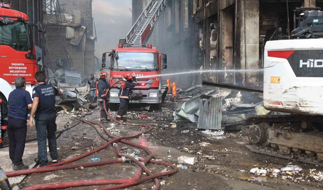 SAKARYA’NIN HENDEK İLÇESİNDE BULUNAN