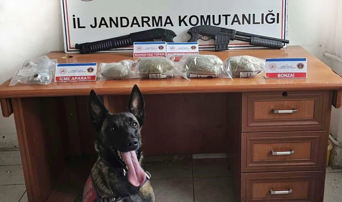 SAMSUN'DA JANDARMA EKİPLERİ TARAFINDAN