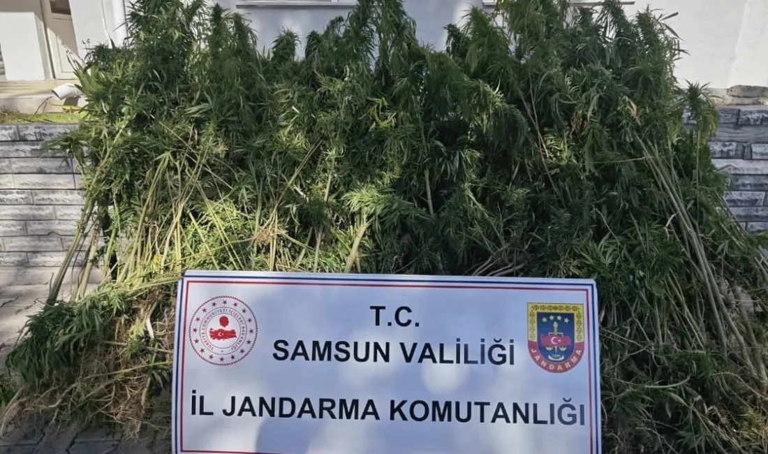 SAMSUN'DA JANDARMA EKİPLERİ TARAFINDAN