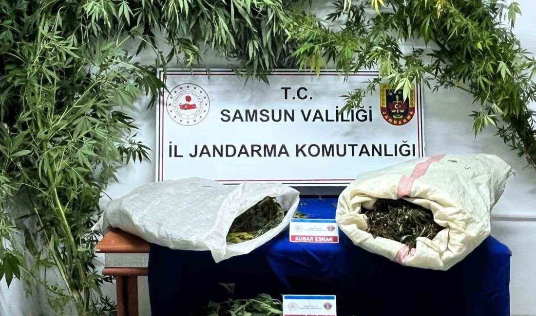 SAMSUN'DA JANDARMA EKİPLERİ TARAFINDAN