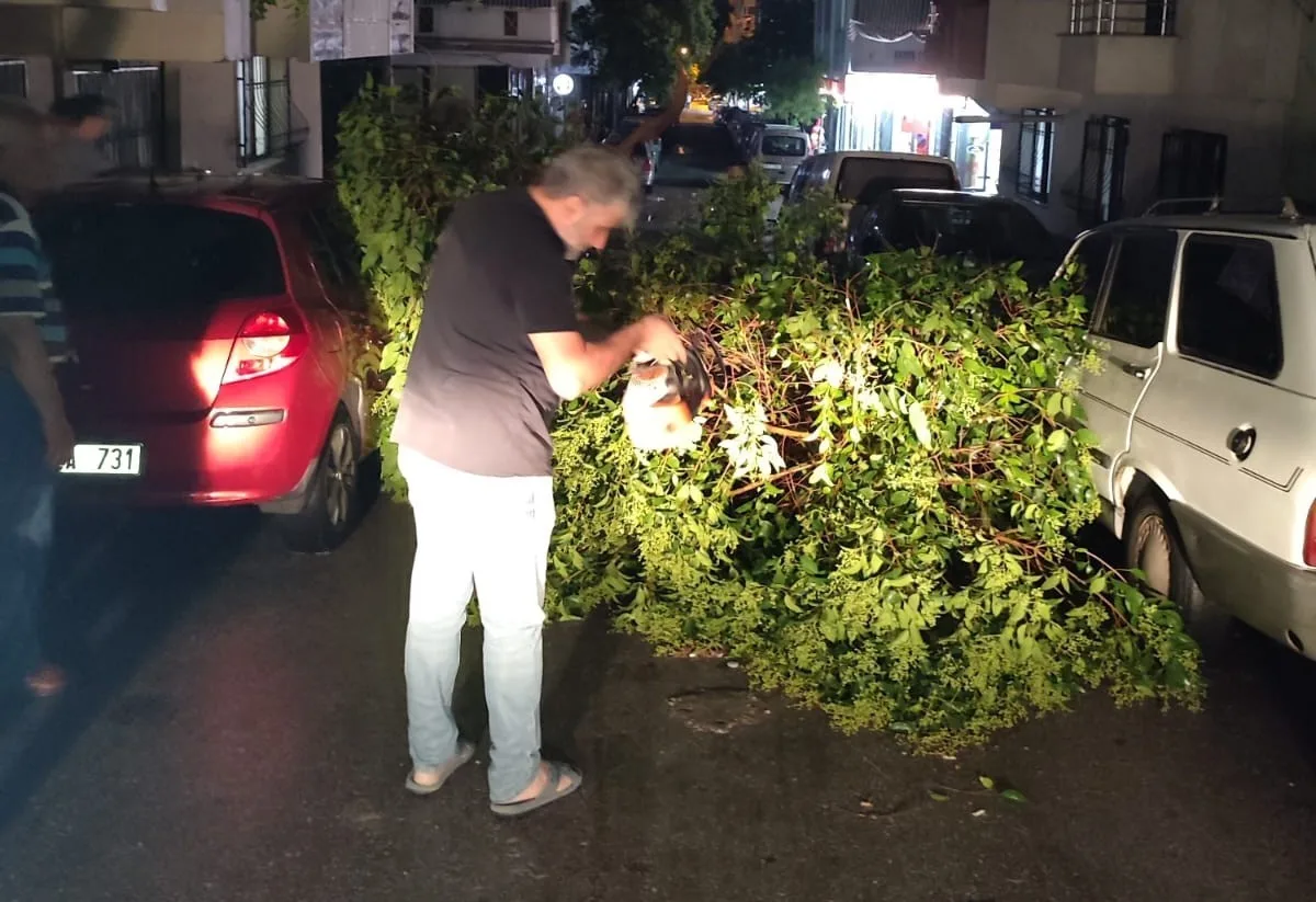 Şehzadeler Belediyesi ekipleri devrilen ağaçları kaldırdı