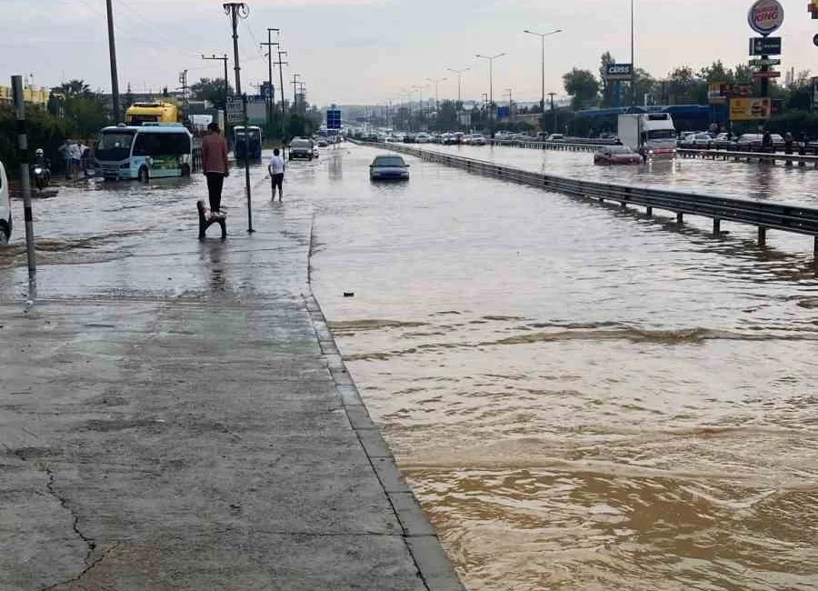 ÇAYIROVA, DARICA VE GEBZE'DE