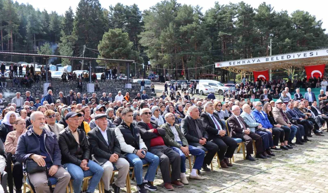 ŞENKAYA'DA, BU YIL İKİNCİSİ