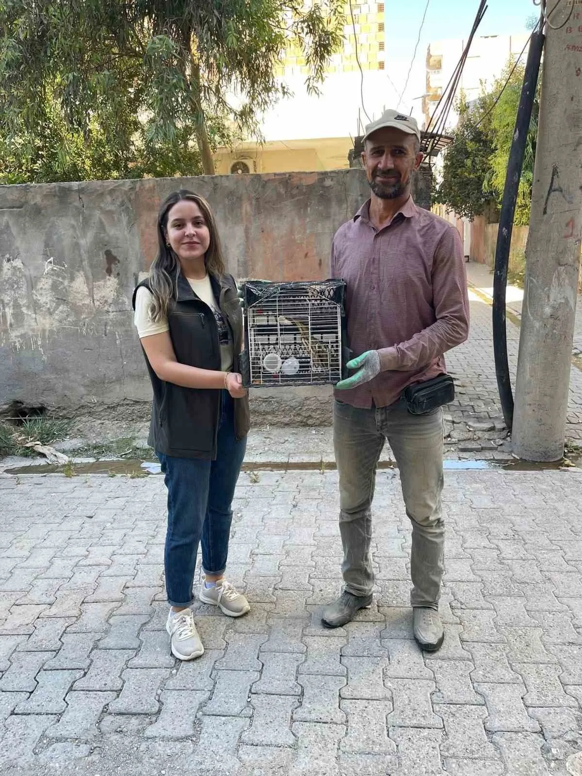 Şırnak’ta Balaban ve Kızıl Şahin tedavi altına alındı