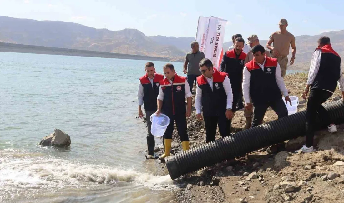 ŞIRNAK'TA İLÇE VE BELDELERİNDE