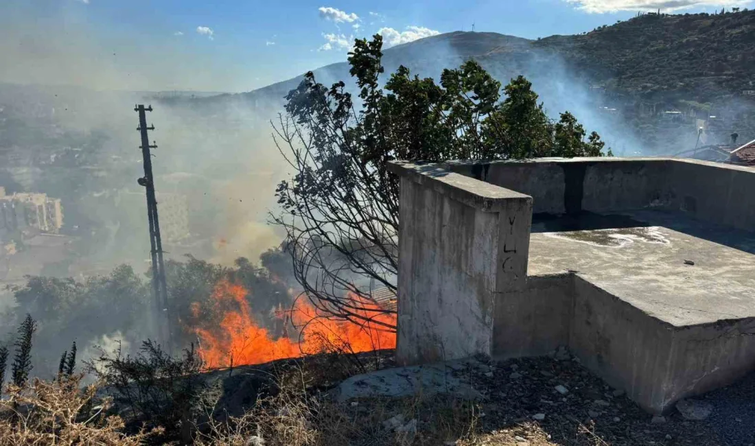 SÖKE’DE OTLUK ALANDA ÇIKAN