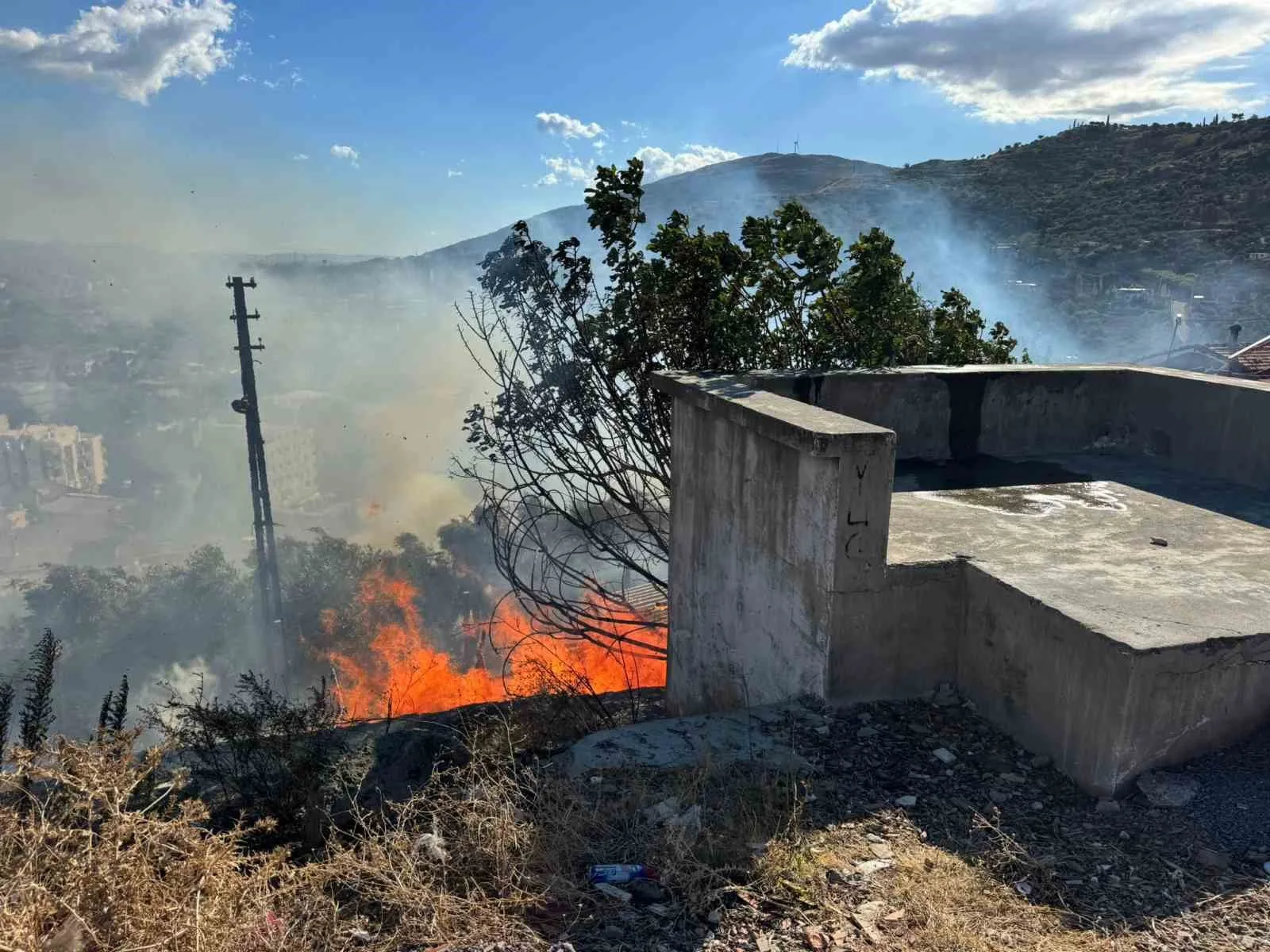 Söke’de otluk alanda çıkan yangın ahıra sıçradı