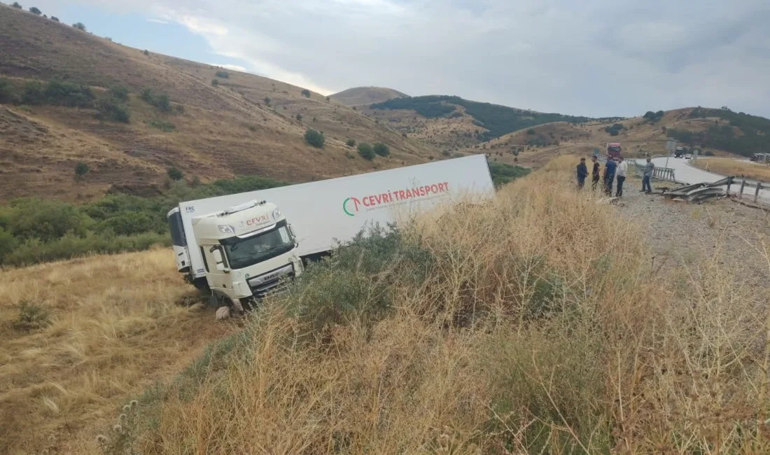 ERZURUM'UN AŞKALE İLÇESİNDE TIR