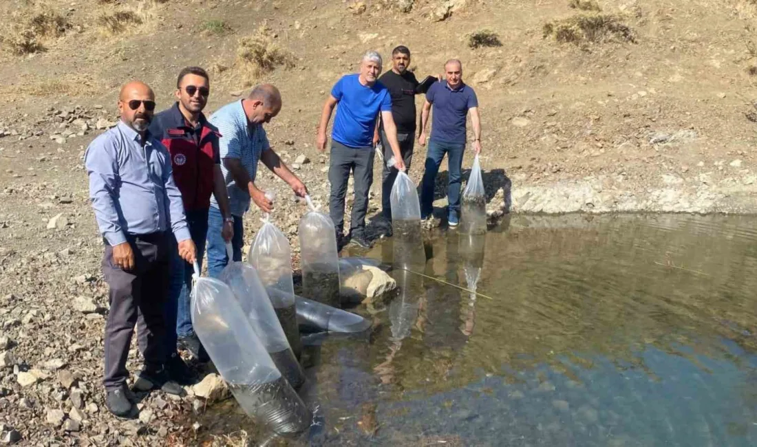 TUNCELİ’NİN PÜLÜMÜR İLÇESİNDE “İÇ