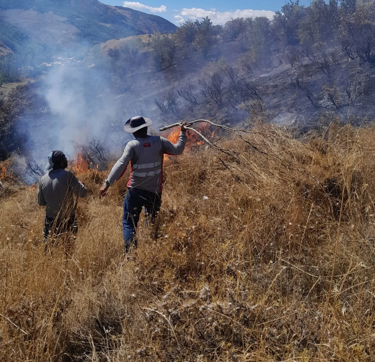 Tunceli’deki yangın ormanlık alana sıçramadan söndürüldü