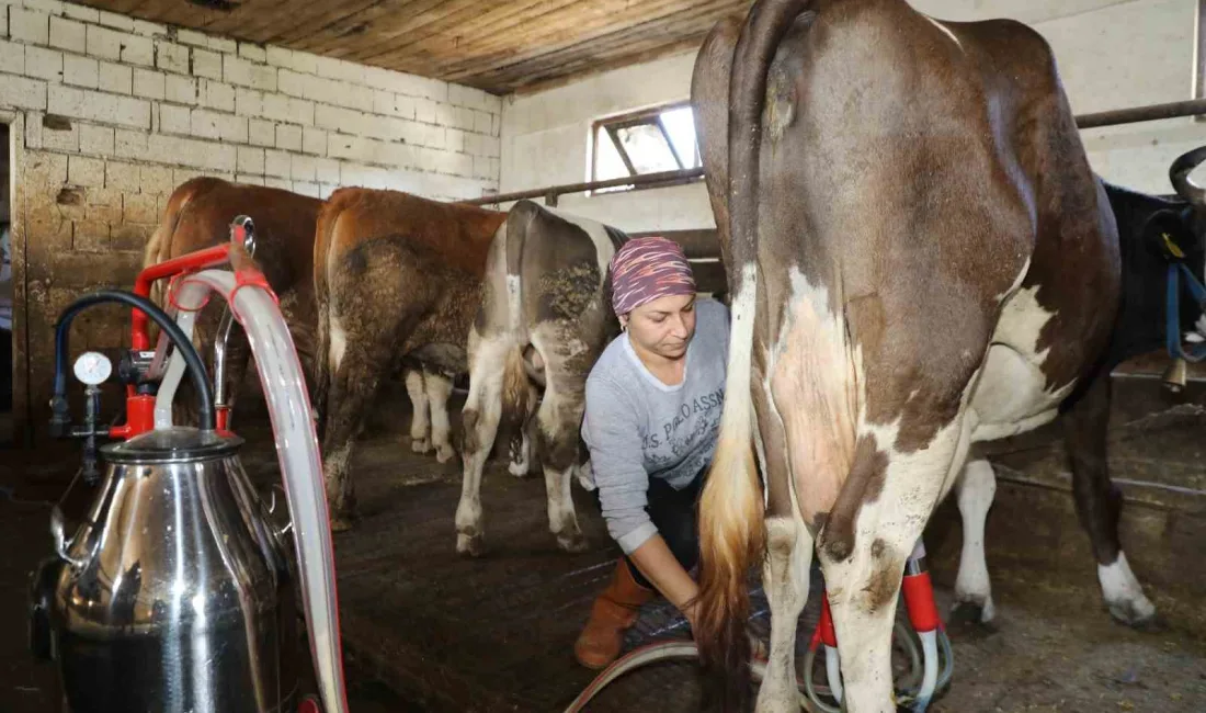 ORDU’DA YAŞAYAN 41 YAŞINDAKİ