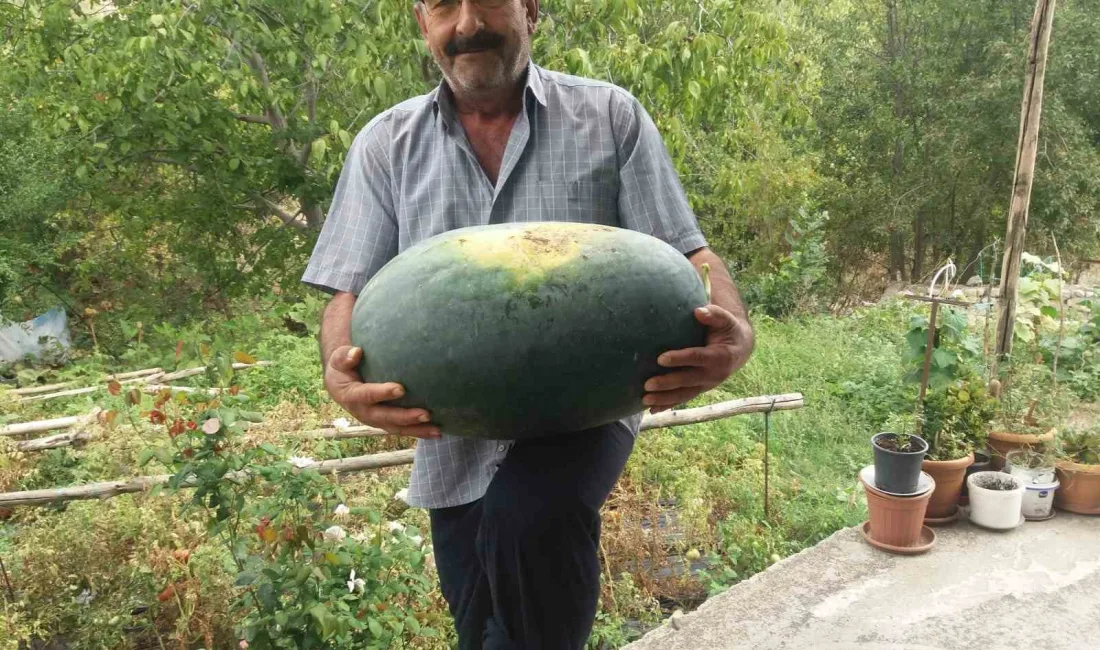 TUNCELİ'NİN ÇEMİŞGEZEK  İLÇESİNDE,