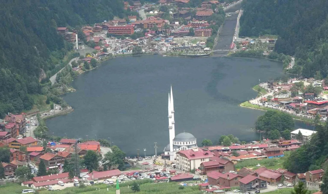 TÜRKİYE'NİN VE DOĞU KARADENİZ