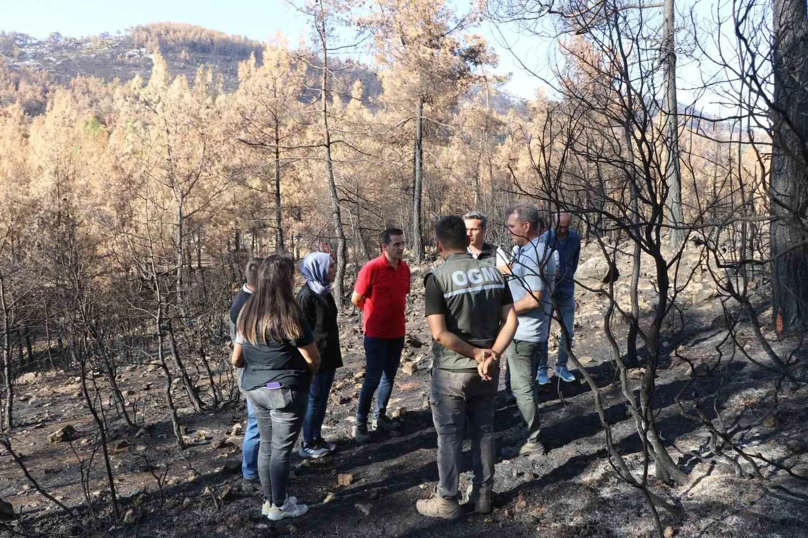 Yangın sonrası hızlı müdahale ve ağaçlandırma çalışmaları Muğla’da sürüyor