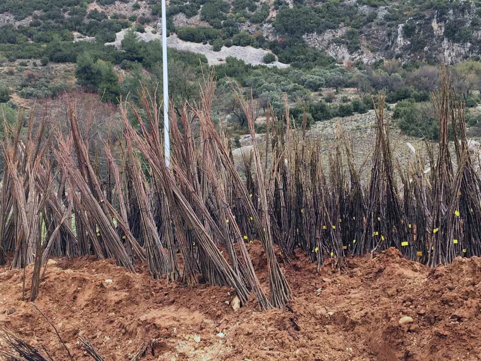 Yangında kovanları yanan arıcılara Büyükşehir’den malzeme desteği