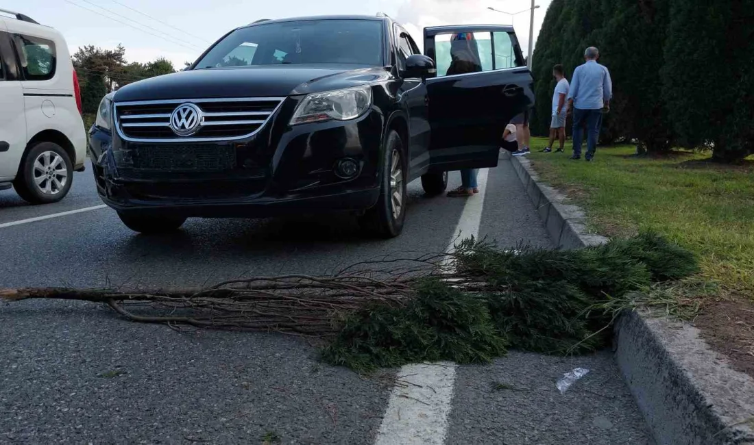 SAMSUN'DA YOLDAN ÇIKAN ARACIN