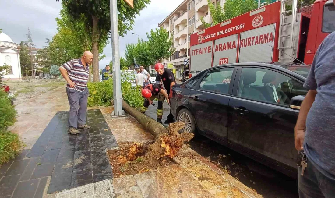 ŞEHİR MERKEZİNDE KALDIRIMDA BULUNAN