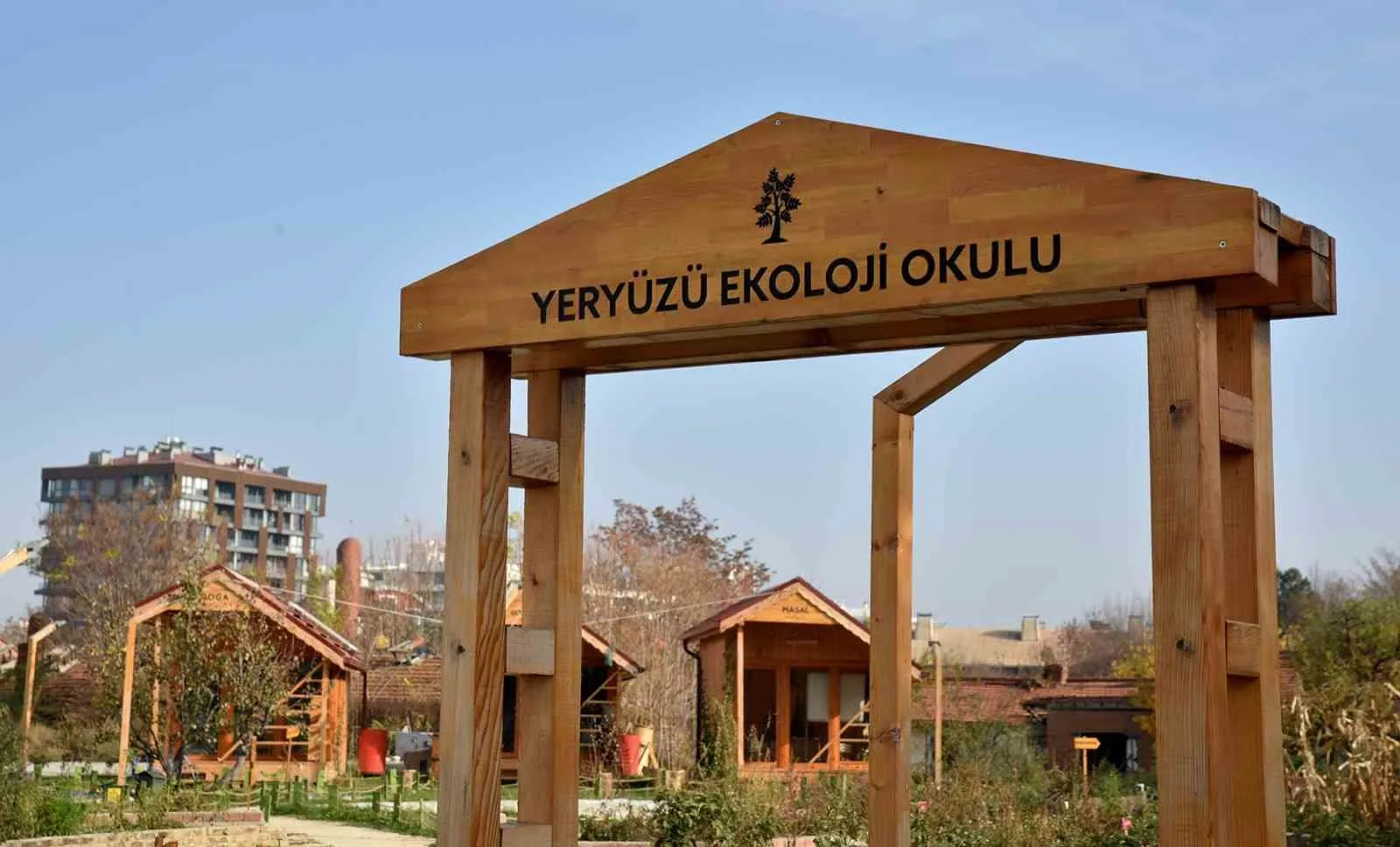 Yeryüzü Ekoloji Okulu eylül ayı atölyeleri başlıyor