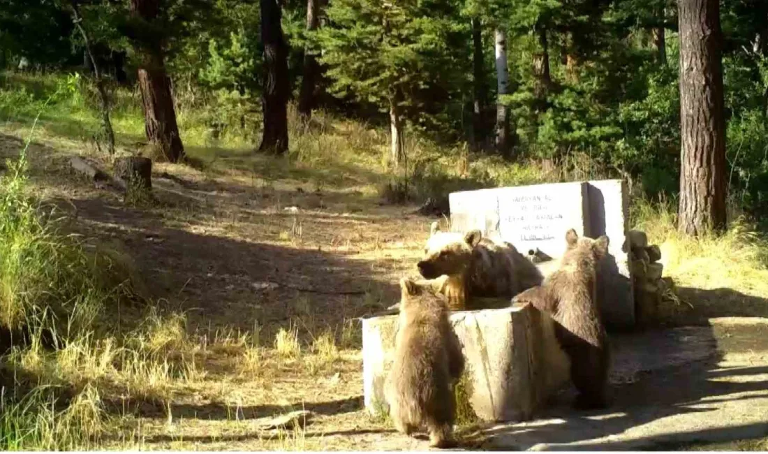 YOZGAT'TA SICAKTAN BUNALAN ANNE