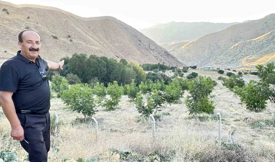 HAKKARİ’NİN YÜKSEKOVA İLÇESİNDE BİLİNÇLİ