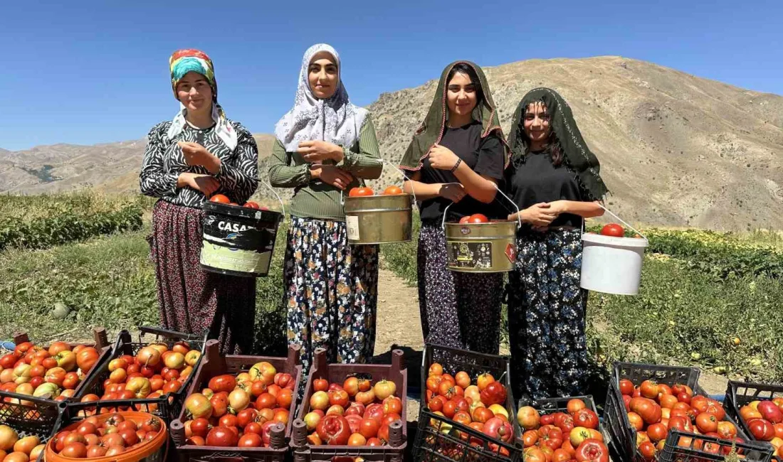 HAKKARİ’NİN YÜKSEKOVA İLÇESİNDE İLKBAHARDA