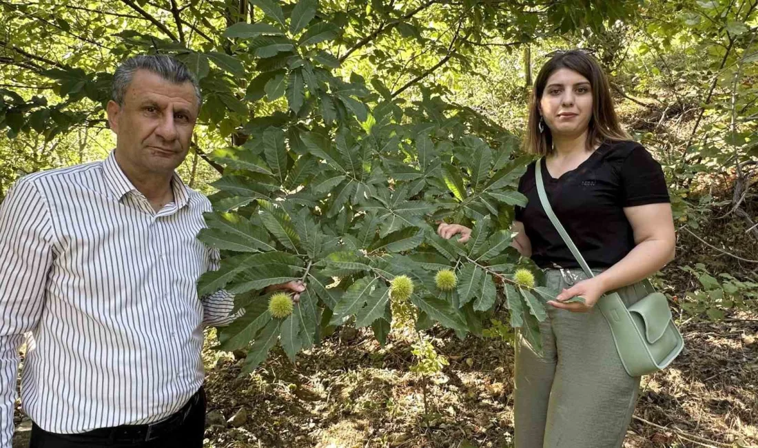 HAKKARİ’NİN YÜKSEKOVA İLÇESİNDE YAŞAYAN