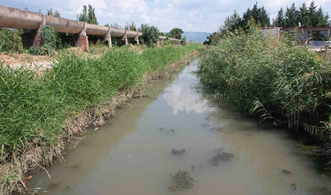 BURSA'NIN KESTEL İLÇESİNDE FABRİKA