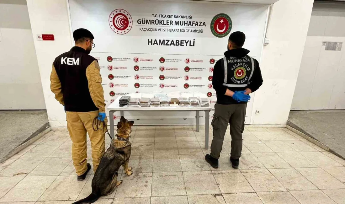 TİCARET BAKANLIĞI, HAMZABEYLİ GÜMRÜK