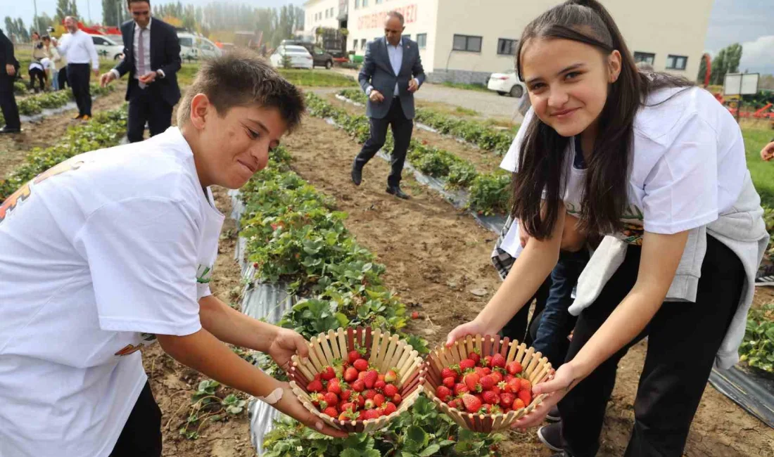 16 EKİM DÜNYA GIDA