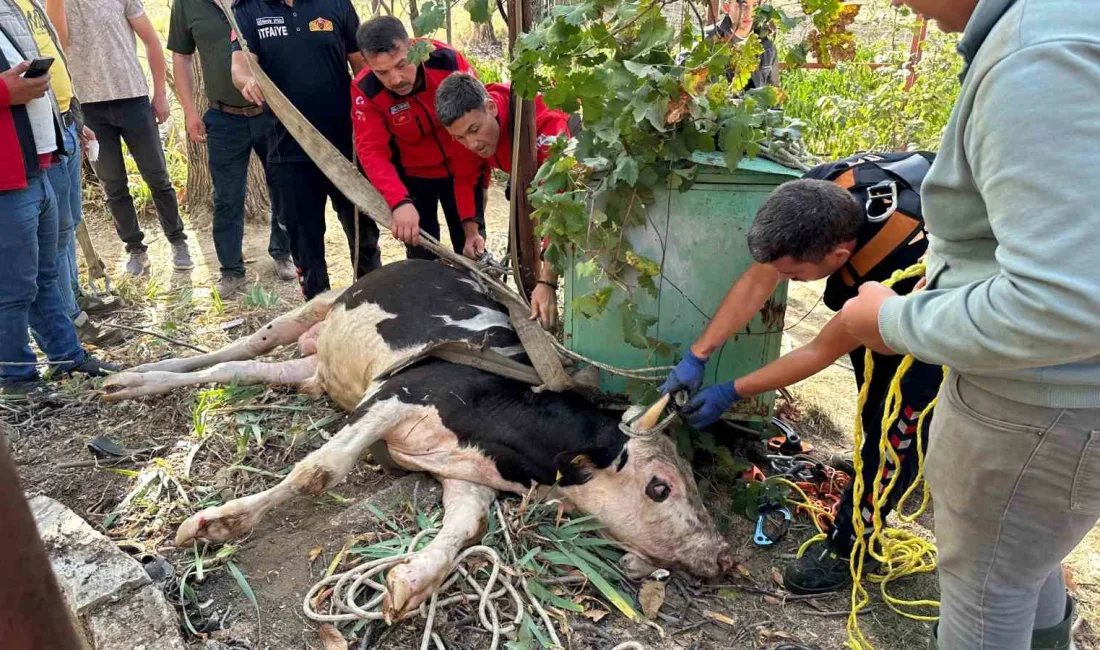 BURDUR’UN BUCAK İLÇESİNDE 20