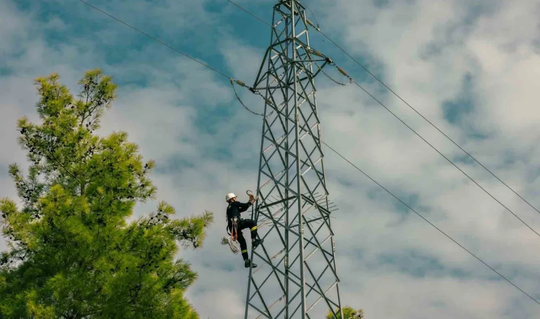 AKDENİZ ELEKTRİK DAĞITIM A.Ş.