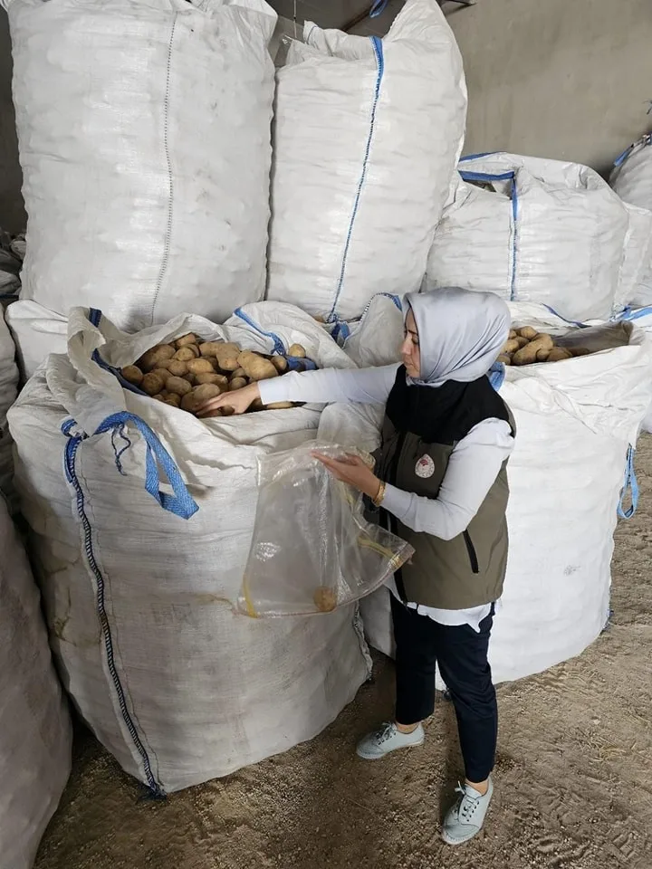 Afyonkarahisar’da Tunus’a 132 ton patates ihracatı yapıldı