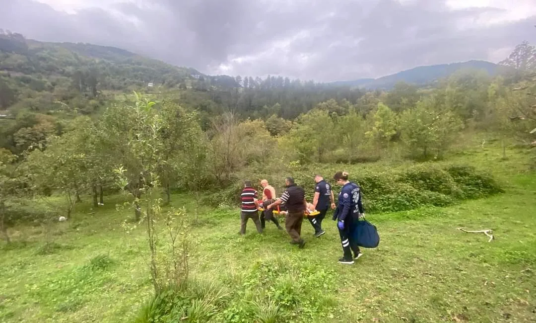 KASTAMONU'NUN BOZKURT İLÇESİNDE AĞAÇTAN