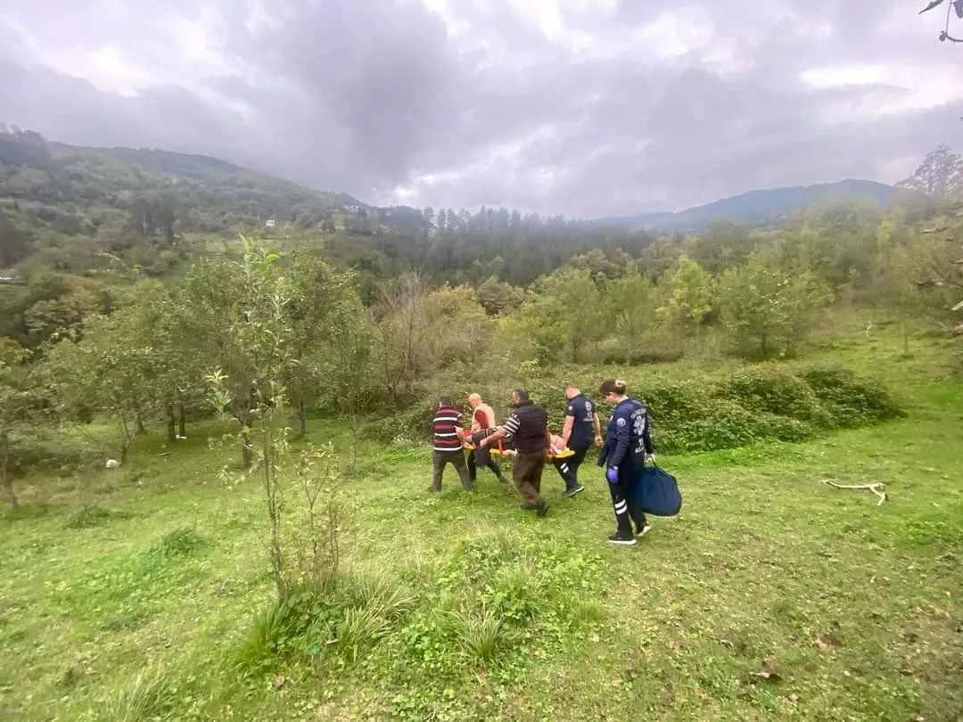 Ağaçtan düşen vatandaş 3 saat süren çaba ile hastaneye ulaştırılabildi