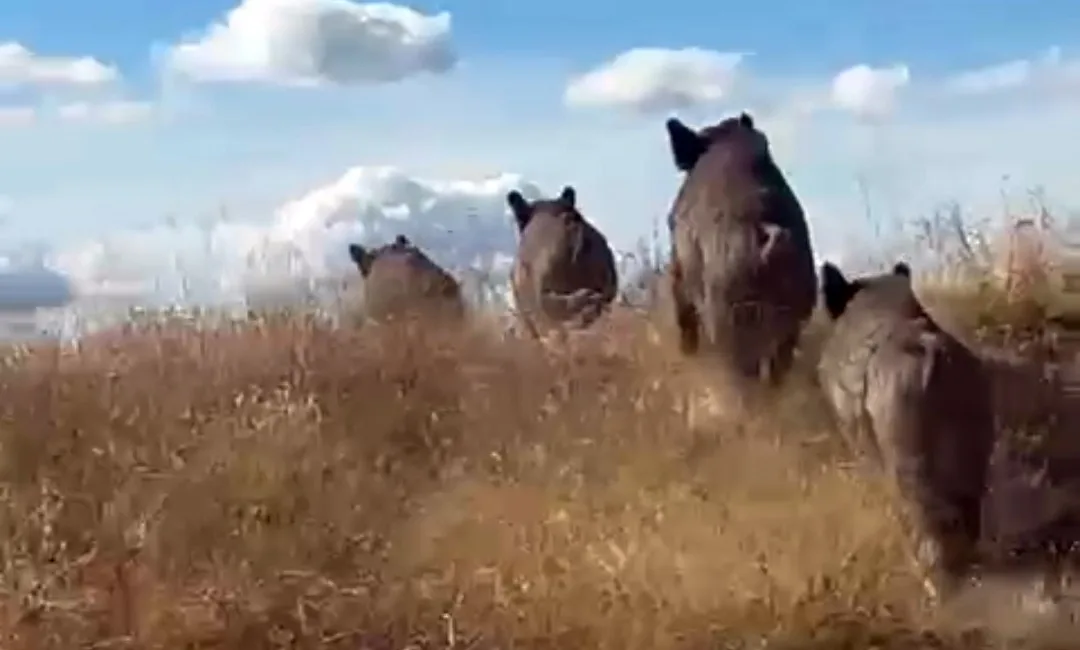 AHLAT İLÇESİNE BAĞLI CEMALETTİN