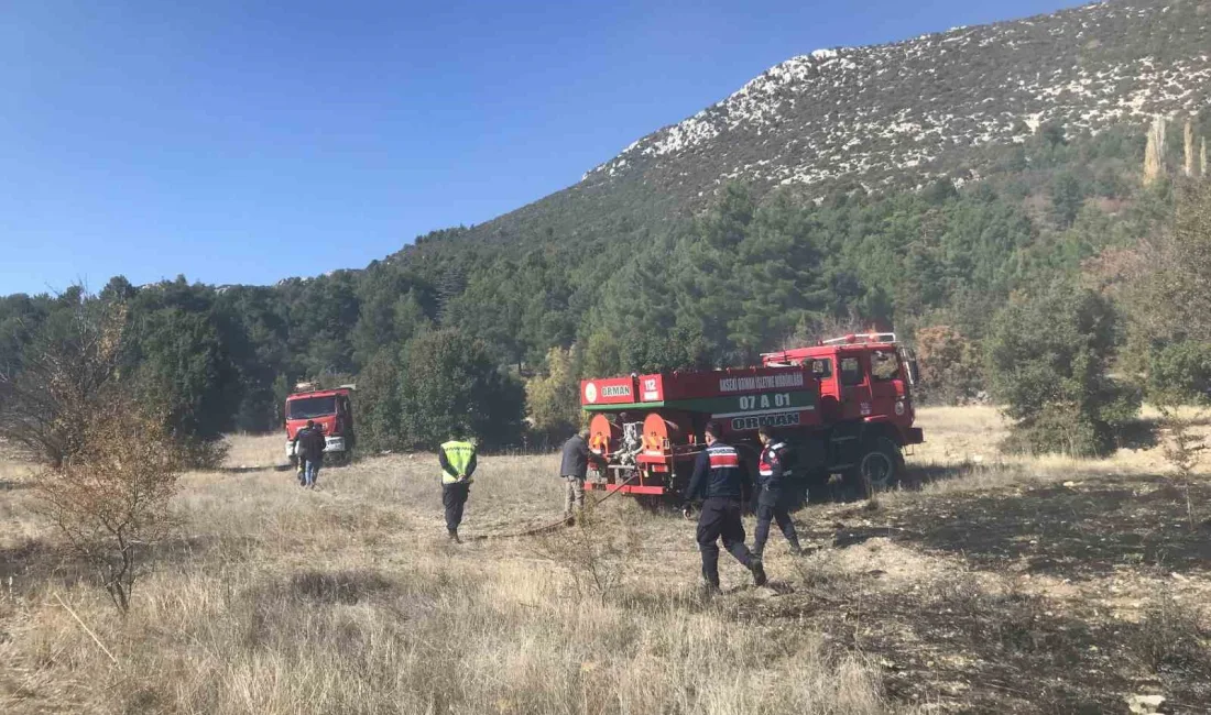 ANTALYA’NIN AKSEKİ İLÇESİNDE TARIM