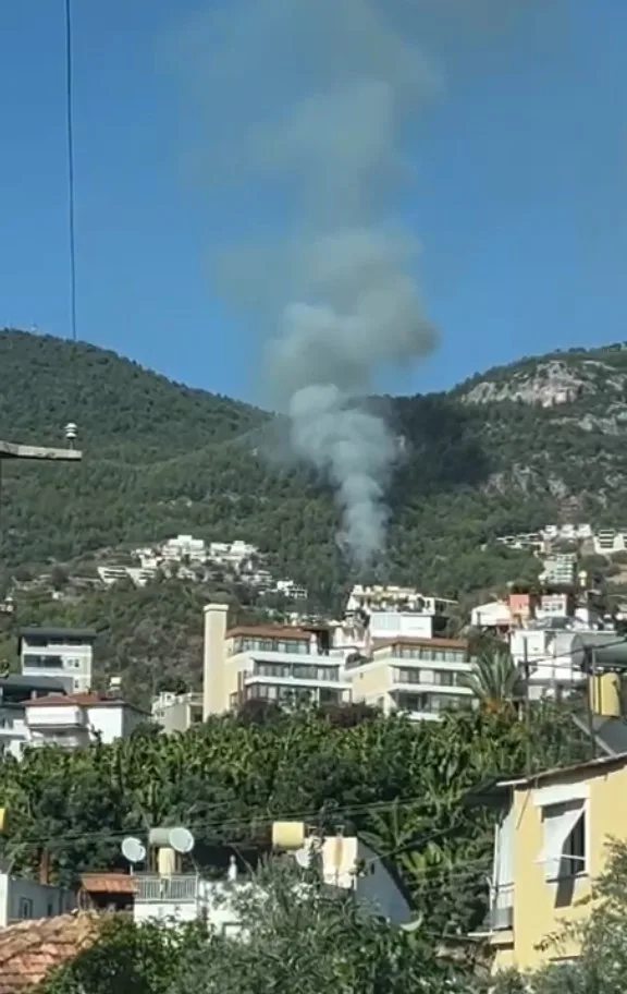 Alanya’da orman yangını