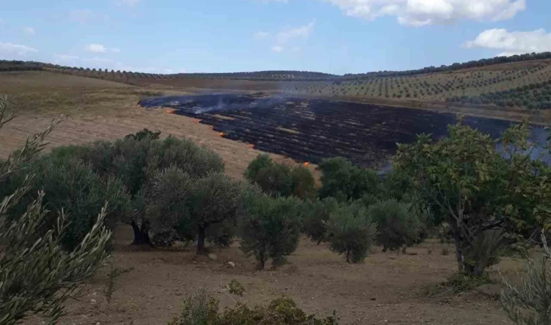 HATAY'DA YAŞANAN ANIZ YANGINI