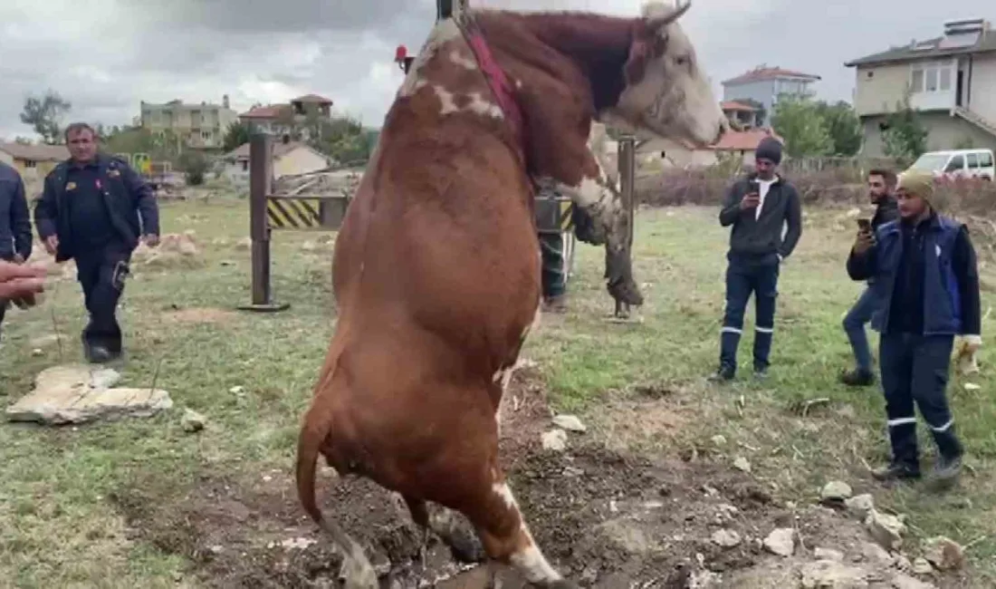 ÇUKURA İNEN EKİPLERİN HALATA