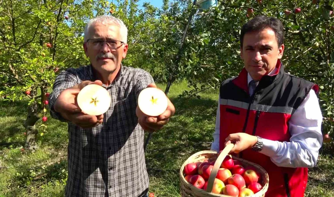 AMASYA’DA 2 BİN YILDIR