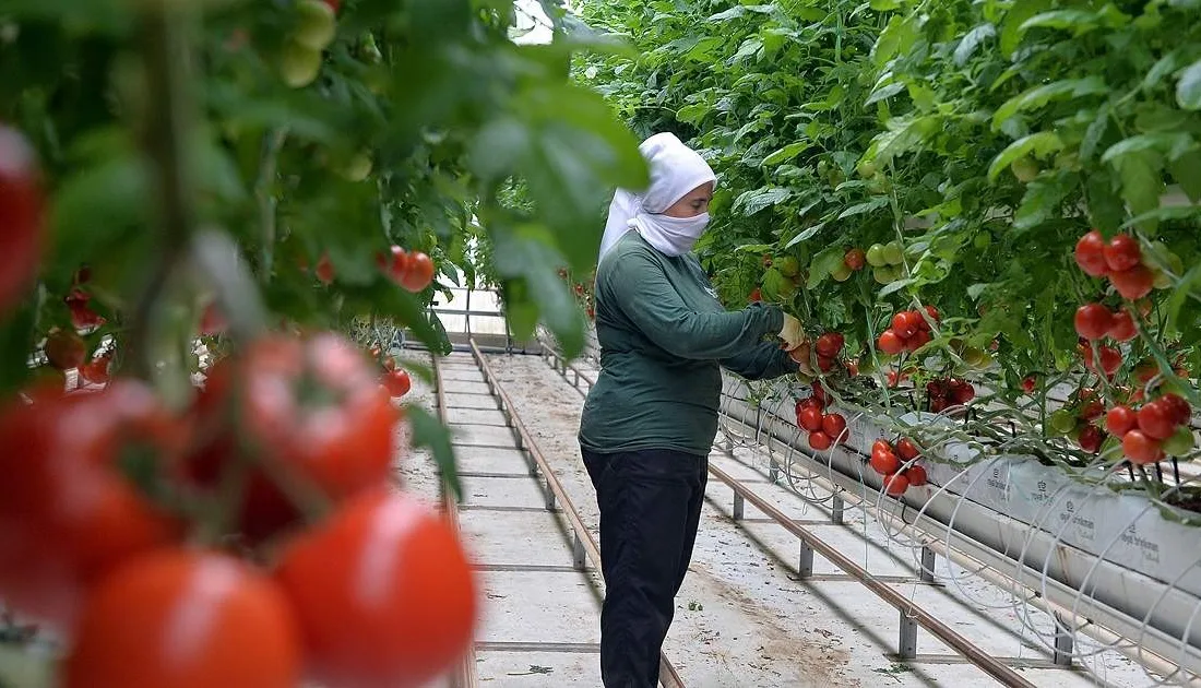 JEOTERMAL KAYNAK POTANSİYELİNDE AVRUPA’NIN