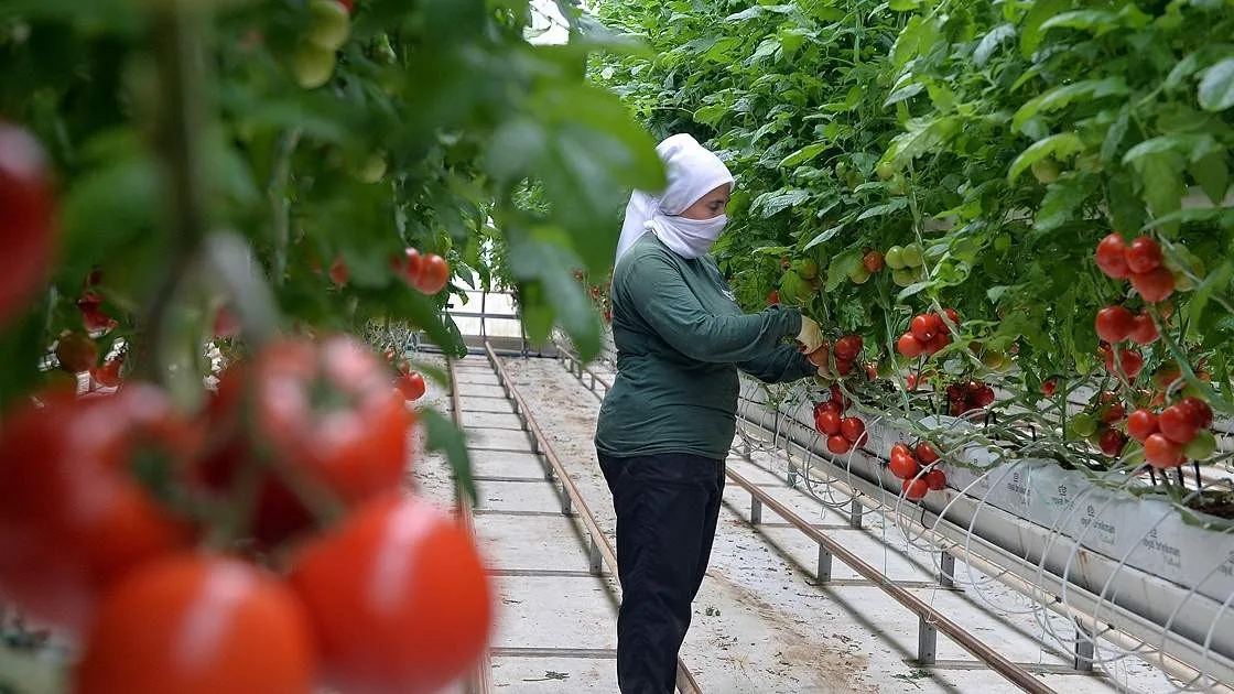 Anadolu coğrafyasının “Beyaz Altını” jeotermal